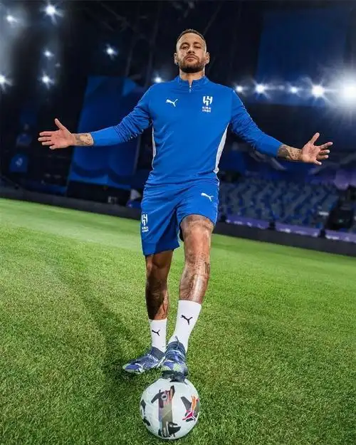 的全面認可 的全面認可